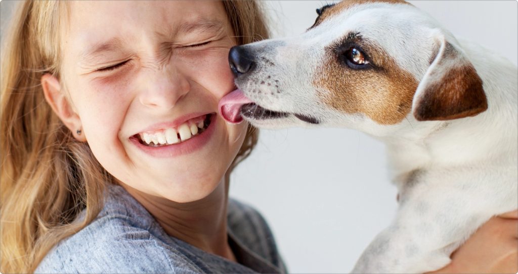 animapet home banner 1