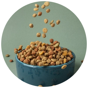 domestic pet food composition@2x